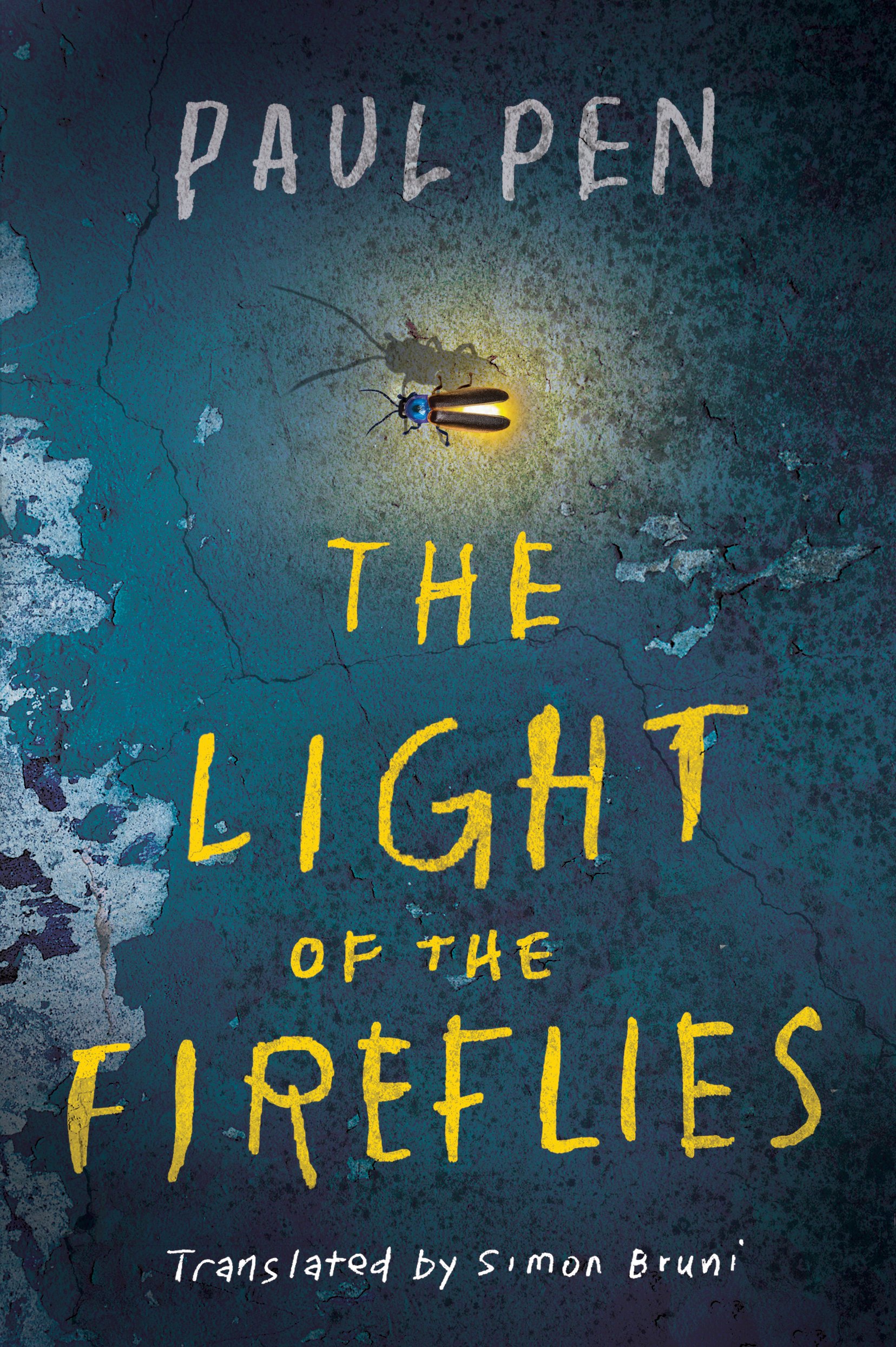 The Light of the Fireflies - Paul Pen